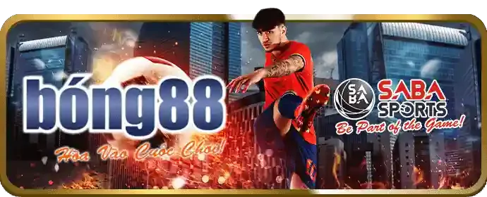 Hoàn trả cược hàng ngày